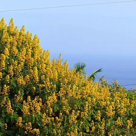 One Bedroom With Sea View Furnished Terrace And Wifi At 4 Km Away From The Апартаменты *