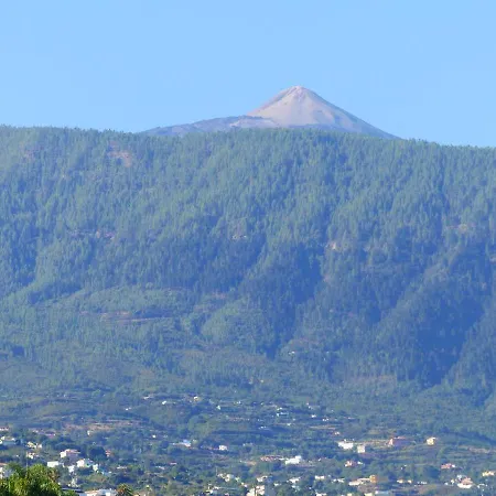 公寓 One Bedroom With Sea View Furnished Terrace And Wifi At 4 Km Away From The *